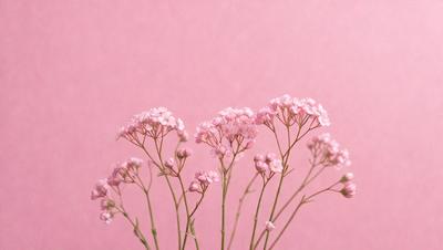 The primary subject of the image is a bouquet of flowers, which are pink and white in color. The flowers are arranged in a vase, and they are placed against a pink background. The visual style of the image is a close-up of the flowers, showcasing their details and beauty. The colors and mood of the image are predominantly pink, creating a warm and inviting atmosphere.