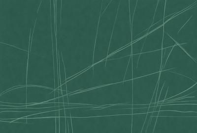 The primary subject of the image is a green background with a pattern of thin, white lines. The setting appears to be a wall or a surface with a textured appearance. The visual style of the image is a combination of digital art and illustration, creating a unique and artistic appearance. The colors and mood of the image are predominantly green, with the white lines adding a touch of contrast and visual interest.
