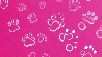 The primary subject of the image is a collection of paw prints on a pink background. The setting is a pink paper or fabric, which serves as the background for the paw prints. The visual style is a combination of drawing and painting, as the paw prints are depicted in a realistic manner. The colors and mood of the image are predominantly pink, creating a warm and inviting atmosphere.
