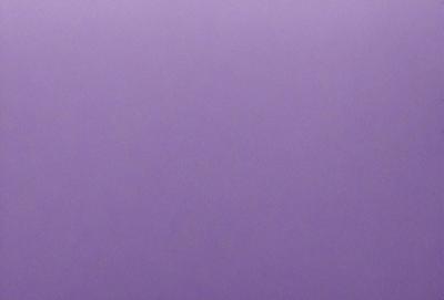 The primary subject of the image is a purple background. The setting is a large, empty space with no visible objects or people. The visual style is a close-up of the purple background, which creates a sense of depth and focus. The colors and mood of the image are predominantly purple, which can evoke feelings of calmness, relaxation, or even mystery, depending on the viewer's interpretation.