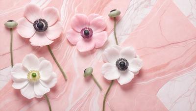 The primary subject of the image is a group of four white flowers with purple centers, arranged on a pink background. The flowers are placed on a marble surface, which adds a touch of elegance and sophistication to the scene. The visual style of the image is a close-up of the flowers, allowing the viewer to appreciate the details of their petals and centers. The colors and mood of the image are predominantly pink and white, creating a sense of freshness and beauty.