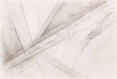 The primary subject of the image is a drawing or illustration of a bird, which is the main focus of the scene. The setting is a white background, and the visual style appears to be a combination of digital art and drawing. The colors and mood of the image are predominantly white, giving it a clean and minimalist appearance.