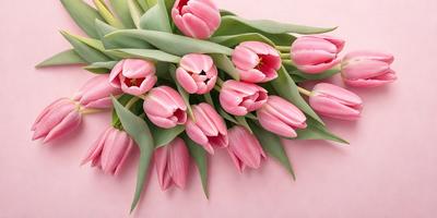 The primary subject of the image is a bouquet of pink tulips. The setting is a pink background, which adds a warm and vibrant atmosphere to the scene. The visual style is a close-up of the flowers, showcasing their details and beauty. The colors and mood of the image are predominantly pink, creating a sense of freshness and elegance.