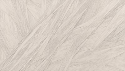 The primary subject of the image is a close-up of a white, textured surface, possibly a wall or a piece of art. The setting appears to be a room with a white background. The visual style of the image is a combination of a photo and a drawing, giving it a unique and artistic appearance. The colors and mood of the image are predominantly white, creating a clean and minimalist atmosphere.
