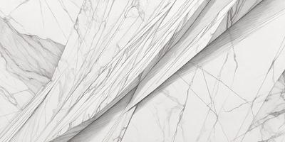 The primary subject of the image is a marble wall with a white and gray color scheme. The setting is a room with a white marble wall, and the visual style is a drawing or illustration. The drawing features a marble wall with a pattern of lines, giving it a textured and natural appearance. The colors and mood of the image are predominantly white and gray, creating a clean and elegant atmosphere.