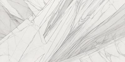 The primary subject of the image is a white marble surface with a pattern of lines and curves. The setting is a white marble wall, and the visual style is a drawing or illustration. The colors and mood of the image are predominantly white, giving it a clean and minimalist appearance.