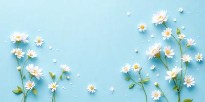 The primary subject of the image is a close-up of white flowers, with a blue background. The flowers are scattered across the surface, creating a visually appealing and serene scene. The visual style of the image is a photo, capturing the beauty of the flowers in their natural environment. The colors and mood of the image are predominantly white and blue, giving it a calm and peaceful atmosphere.