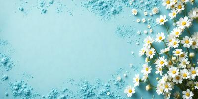The primary subject of the image is a close-up of white flowers, with a blue background. The visual style appears to be a photo, as the flowers are in focus and the background is blurred. The colors and mood of the image are predominantly white and blue, creating a serene and calming atmosphere.