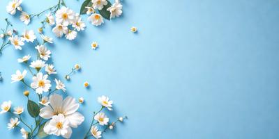 The primary subject of the image is a bouquet of white flowers. The flowers are arranged in a visually appealing manner, creating a sense of beauty and elegance. The setting is a blue wall, which serves as a striking backdrop for the flowers. The visual style of the image is a close-up of the flowers, emphasizing their details and textures. The colors and mood of the image are predominantly white, which gives it a clean, fresh, and serene atmosphere.