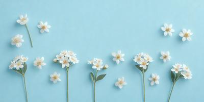 The primary subject of the image is a row of five white flowers with green leaves, arranged in a straight line on a blue background. The flowers are positioned in a way that they appear to be growing out of the wall. The visual style of the image is a combination of photo and digital art, creating a realistic yet artistic representation of the flowers. The colors and mood of the image are predominantly blue and white, giving it a calm and serene atmosphere.