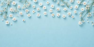 The primary subject of the image is a close-up of a flower, which is the main object in the scene. The setting is a blue wall, and the visual style appears to be a photo. The dominant colors in the image are white and blue, creating a calm and serene atmosphere.