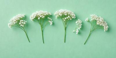 The primary subject of the image is a close-up of four white flowers, each with a green stem. The flowers are arranged in a row, with one flower on the left, one in the middle, one on the right, and one in the far right. The setting is a green background, which provides a vibrant and natural backdrop for the flowers. The visual style of the image is a close-up, which emphasizes the details of the flowers and their stems. The colors and mood of the image are pre