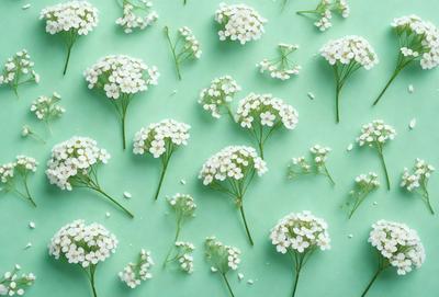 The primary subject of the image is a close-up of white flowers, with a green background. The flowers are arranged in a pattern, creating a visually appealing and harmonious composition. The visual style of the image is a combination of photo and digital art, as it captures the beauty of the flowers in a detailed and artistic manner. The colors and mood of the image are predominantly white and green, giving it a fresh and serene atmosphere.