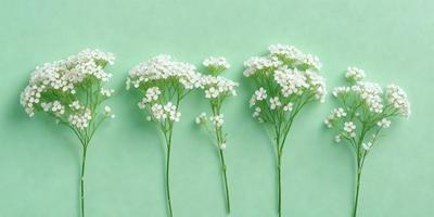The primary subject of the image is a row of five white flowers, each with a green stem, arranged in a straight line. The flowers are placed on a green background, which creates a visually appealing contrast. The visual style of the image is a photo, capturing the beauty of the flowers in their natural setting. The colors and mood of the image are predominantly green and white, giving it a fresh and serene atmosphere.