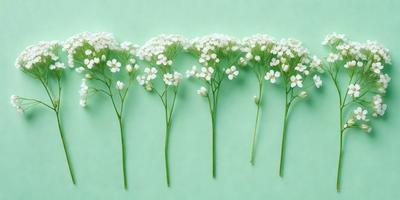 The primary subject of the image is a row of white flowers, which are the main objects in the scene. The flowers are arranged in a line, creating a visually appealing and harmonious display. The setting is a green background, which provides a vibrant and lively atmosphere. The visual style of the image is a close-up of the flowers, allowing the viewer to appreciate the details and beauty of the white flowers. The colors and mood of the image are predominantly green and white, giving it a fresh