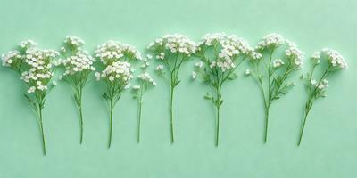 The primary subject of the image is a row of five white flowers, each with a long green stem. The flowers are arranged in a neat line, creating a visually appealing and harmonious display. The setting is a green background, which provides a vibrant and natural backdrop for the flowers. The visual style of the image is a close-up of the flowers, allowing for a detailed and intimate view of the stems and petals. The colors and mood of the image are predominantly green and white,