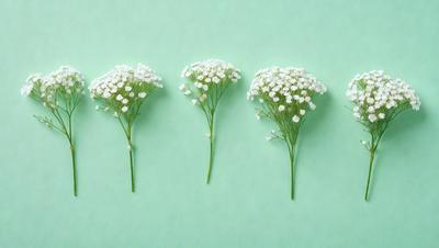 The primary subject of the image is a close-up of three white flowers, each with a green stem. The flowers are arranged in a row, with one flower on the left, one in the middle, and one on the right. The setting is a green background, which provides a vibrant and natural backdrop for the flowers. The visual style of the image is a close-up, which emphasizes the details of the flowers and their stems. The colors and mood of the image are predominantly green and white,