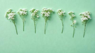 The primary subject of the image is a row of six white flowers, each with a long stem, arranged on a green background. The flowers are placed in a way that they appear to be growing from the ground, creating a sense of depth and dimension. The visual style of the image is a combination of photo and digital art, as it captures the beauty of the flowers in a realistic yet artistic manner. The colors and mood of the image are predominantly green and white, giving it a fresh and serene atmosphere.
