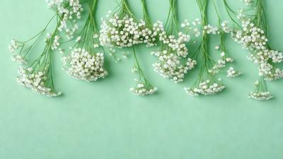 The primary subject of the image is a close-up of white flowers, possibly baby's breath, arranged in a row on a green background. The flowers are the main focus of the image, and they are depicted in a realistic manner, likely as a photo. The setting is a green surface, which adds a natural and fresh atmosphere to the scene. The visual style is realistic, and the colors are predominantly white and green, creating a serene and calming mood.