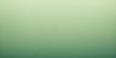 The primary subject of the image is a large, green wall. The setting is a room with a green background, and the visual style appears to be a photo. The dominant colors in the image are green, and the overall atmosphere is calm and serene.