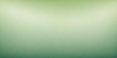 The primary subject of the image is a large, green wall. The setting is a plain, empty room with no other objects or people visible. The visual style is a close-up of the green wall, which gives a sense of depth and texture to the image. The colors and mood are predominantly green, creating a calm and serene atmosphere.