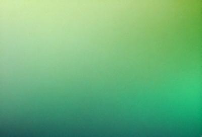 The primary subject of the image is a green background. The setting is a large, open space with a green hue. The visual style is a close-up of the green background, which creates a sense of depth and focus. The colors and mood of the image are predominantly green, giving it a calm and serene atmosphere.