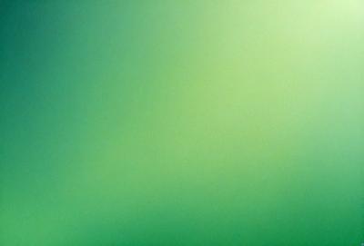 The primary subject of the image is a large, bright green wall. The setting is a room with a green background, and the visual style is a photo. The dominant colors are green, and the overall atmosphere is vibrant and lively.
