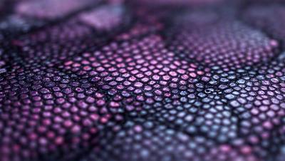 The primary subject of the image is a close-up of a patterned surface, possibly a piece of fabric or a textured wall. The setting appears to be a dark room, with the patterned surface being the main focus of the image. The visual style is a combination of a photo and a digital art, as the patterned surface appears to be a blend of both. The colors and mood of the image are predominantly dark, with the patterned surface being the main source of visual interest.