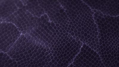 The image features a close-up of a purple leather surface, possibly a piece of clothing or a leather item. The leather appears to be textured and has a slightly rough surface. The purple color gives the image a unique and striking appearance.