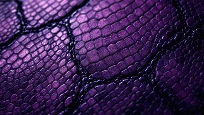 Purple snake skin, with a pattern of circles, is the primary subject of the image. The setting is a close-up of the snake's skin, showcasing its unique texture and pattern. The visual style is a realistic representation of the snake's skin, capturing its natural beauty. The dominant colors are purple and black, creating a striking and visually appealing image.