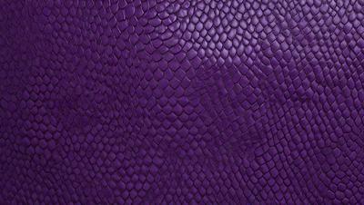 Purple leather, possibly a reptile skin, is the primary subject of the image. The setting is a close-up of the leather, showcasing its texture and pattern. The visual style is a detailed, up-close representation of the material. The colors and mood are predominantly purple, giving the image a rich and luxurious appearance.