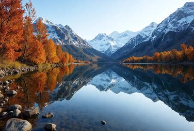 The primary subject of the image is a serene mountain lake surrounded by a forest. The setting is a picturesque landscape with mountains in the background. The visual style is a natural, outdoor scene with a sense of tranquility. The dominant colors are shades of green, blue, and orange, creating a vibrant and lively atmosphere.
