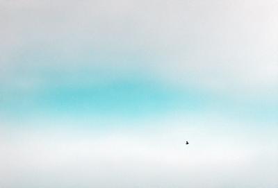 The primary subject of the image is a bird flying in the sky. The bird is positioned in the middle of the scene, with its wings spread out. The sky is a pale blue, and the bird appears to be the main focus of the image. The setting is a vast, open space with no visible landmarks or other objects. The visual style of the image is a photo, capturing the bird in its natural environment. The colors and mood of the image are serene and peaceful, with the bird soaring freely in