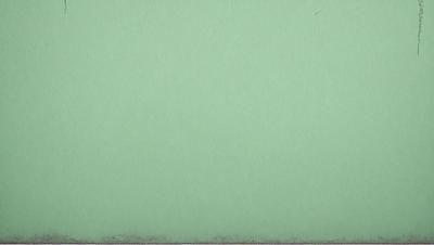 The primary subject of the image is a green background. The setting is a plain, empty space with no visible objects or people. The visual style is a close-up of the green background, which appears to be a piece of paper or a wall. The colors and mood of the image are predominantly green, creating a calm and serene atmosphere.