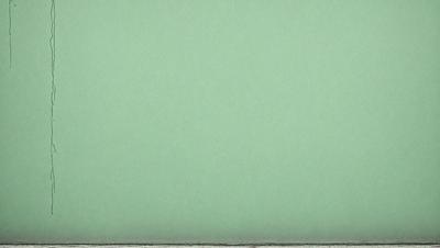 The primary subject of the image is a green wall. The setting is a room with a green wall, and the visual style is a photo. The dominant colors are green, and the overall atmosphere is calm and serene.