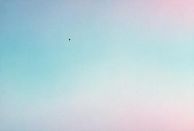 The primary subject of the image is a bird flying high in the sky. The bird is positioned in the middle of the scene, with its wings spread out. The setting is a vast, open sky, which provides a sense of freedom and space. The visual style of the image is a photo, capturing the bird in its natural environment. The colors in the image are predominantly shades of blue, which contribute to a calm and serene atmosphere.