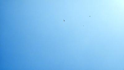 The primary subject of the image is a blue sky with a few birds flying in it. The setting is an open sky, and the visual style is a natural, outdoor scene. The colors are predominantly blue, and the mood is calm and serene.