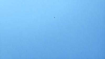 The primary subject of the image is a bird flying high in the sky. The bird is positioned towards the center of the image, with its wings spread out. The setting is a clear blue sky, which provides a beautiful backdrop for the bird's flight. The visual style of the image is a photo, capturing the bird in its natural environment. The colors in the image are predominantly blue, creating a serene and peaceful atmosphere.