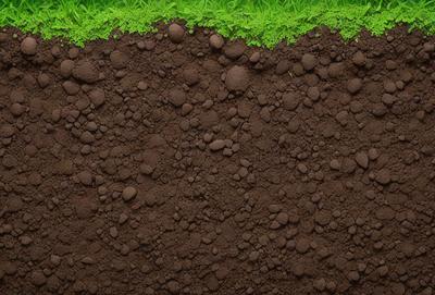 The primary subject of the image is a large pile of dirt, which is the main object, scene, or focus of the image. The setting/background consists of a green field, and the visual style is a photo. The colors and mood of the image are predominantly brown, with a somewhat dull and earthy atmosphere.
