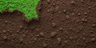 The primary subject of the image is a small green plant growing in a dirt field. The setting is a dirt field with rocks scattered throughout the area. The visual style is a close-up of the plant, with the dirt and rocks in the background. The colors and mood of the image are earthy and natural, with the green plant standing out against the brown dirt and rocks.