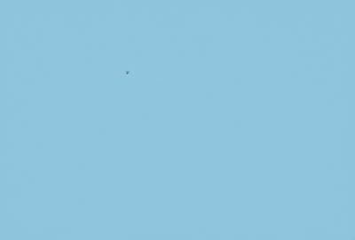 The primary subject of the image is a bird flying high in the sky. The bird is positioned towards the left side of the image. The setting is a clear blue sky, which serves as the backdrop for the bird's flight. The visual style of the image is a photo, capturing the bird in its natural environment. The colors in the image are predominantly blue, creating a calm and serene atmosphere.