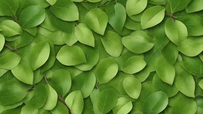 The primary subject of the image is a large group of green leaves, which are the main objects in the scene. The leaves are arranged in a pattern, covering the entire image. The setting is a lush green background, which adds to the overall atmosphere of the image. The visual style is a close-up of the leaves, creating a sense of depth and detail. The colors and mood of the image are predominantly green, giving it a fresh and natural feel.