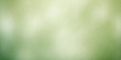 The primary subject of the image is a large, green wall. The setting is a room with a green background, and the visual style is a painting or drawing. The colors and mood of the image are predominantly green, creating a calm and serene atmosphere.