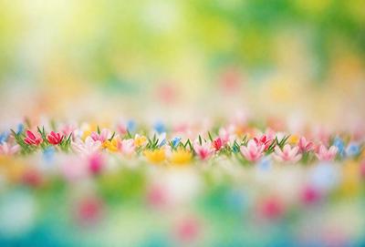 The primary subject of the image is a field of flowers, with a variety of colors and shapes. The setting is a grassy area, and the visual style appears to be a painting or digital art. The colors and mood of the image are vibrant and lively, with the flowers creating a sense of beauty and natural wonder.
