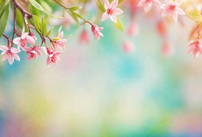 The primary subject of the image is a close-up of a branch with pink flowers. The setting is a colorful background, possibly a painting or a digital artwork. The visual style appears to be a combination of photo and digital art, creating a vibrant and lively atmosphere. The dominant colors are pink and green, with the pink flowers being the main focus of the image.