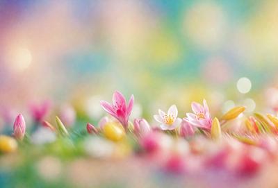 The primary subject of the image is a field of flowers, with a variety of different colored flowers blooming in the field. The setting is a vibrant, colorful garden with a mix of pink, yellow, and white flowers. The visual style is a combination of a photo and digital art, creating a lively and dynamic scene. The colors and mood of the image are bright, cheerful, and full of life, as the flowers create a beautiful and colorful backdrop.