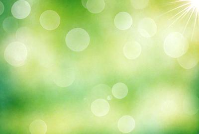 The primary subject of the image is a close-up of a green leaf. The setting is a bright, sunny day, with the leaf being the main focus of the image. The visual style is a close-up, which emphasizes the details of the leaf. The colors and mood of the image are predominantly green, which gives it a fresh and natural atmosphere.
