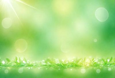 The primary subject of the image is a close-up of a green plant with a bright, sunny background. The setting is a lush green field, and the visual style is a photo. The dominant colors are green and yellow, creating a warm and vibrant atmosphere.