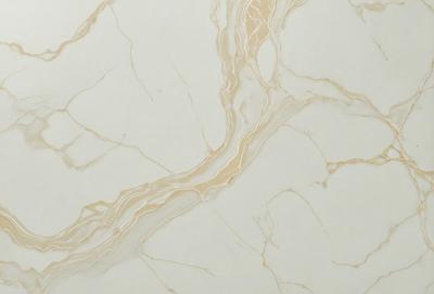 The primary subject of the image is a marble wall with a patterned design. The setting is a room with a white marble surface. The visual style is a close-up of the marble wall, showcasing its intricate design. The colors and mood of the image are predominantly white, giving it a clean and elegant appearance.