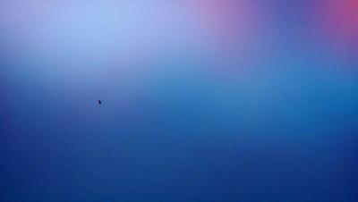 The primary subject of the image is a small black dot in the middle of a blue sky. The sky is the setting and background of the image, and it appears to be a photo of the sky. The visual style is that of a natural, outdoor scene. The colors and mood of the image are predominantly blue, creating a calm and serene atmosphere.